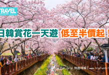 日韓賞花一天遊.低至半價起!嵐山✕哲學之道.買一送一!日立粉藍花海✕偕樂園.買一送一!鎮海軍港節65折 – travelwebsite.com