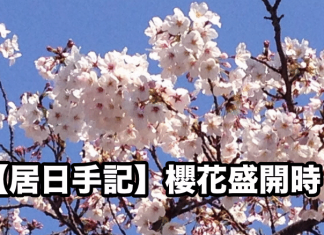 【居日手記】櫻花盛開時