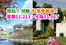 抵玩!紅葉季都減!香港來回首爾$1,213、大阪$1,567!11月30日前出發.早機去午機返 – 印度航空 (優惠至5月31日)