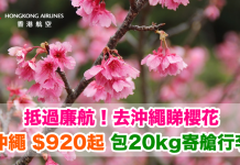 抵過廉航!去沖繩睇櫻花.來回沖繩$920起!包20kg寄艙行李!2018年2月前出發 – 香港航空