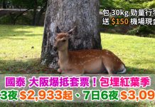 國泰.大阪爆抵套票!「機票+酒店」連稅:4日3夜$2,933起、7日6夜$3,099起!包埋紅葉季!再送$150機場現金券 (優惠至7月31日)