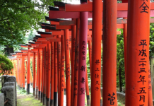 日航.東京抵玩套票!「機票+酒店」連稅:4日3夜$3,160起、7日6夜$3,715起!可紅葉季出發!再送$150機場現金券