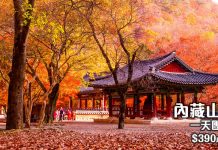 限時72小時優惠!韓國秋冬 local tour 低至5折!賞楓玩雪激抵!睇五色楓葉!廣東話教練教滑雪 – travelwebsite.com