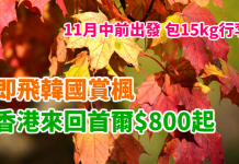激抵!即飛韓國睇紅葉!真航空香港來回首爾$800起!包15kg行李!11月中前出發 – 真航空 (優惠至10月31日)