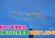 爆抵!港航.沖繩3日2夜「機票+酒店」連稅$1,224起!包20kg行李!2018年1至5月出發 (優惠至12月8日) – 香港航空