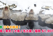 國泰.日本全線減!香港來回沖繩 / 東京 / 大阪 / 名古屋 / 福岡$1,901起!包30kg行李!2018年7月前出發 – 國泰航空 (優惠至2月28日)
