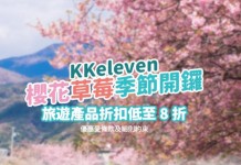 抵玩!KKday 優惠代碼!櫻花季 / 草莓季 / 雪季行程額外低至8折 – KKday (優惠至2月10日)