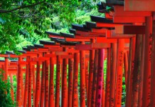 【日航套票】筍價!東京「機票+酒店」連稅:4日3夜$3,087起、5日4夜$3,171起!包46kg行李 – 日本航空 (優惠至7月15日)