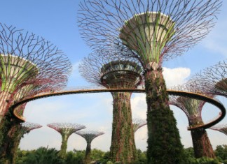 【旺季筍價】飛獅城放暑假!香港來回新加坡$1,431起!7月至8月出發 – 新加坡航空 (優惠至6月29日)