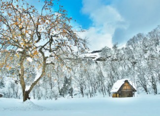 【北陸之旅】ANA 靚價套票!名古屋「機票+酒店」連稅:4日3夜$3,297起、6日5夜$3,623起!8月至12月出發 – ANA 全日空 (優惠至8月31日)