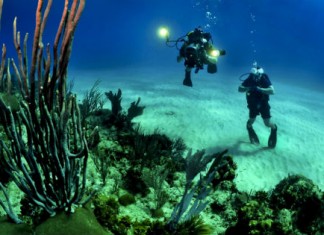 【陽光海灘】全線斐濟機票減$500!香港來回納迪$3,570起!睇靚珊瑚、與鯊共潛!9月底前出發 – 斐濟航空 (優惠至9月30日)