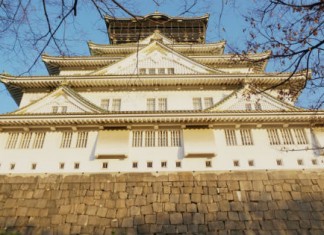 【印航抵價】香港來回大阪$1,467起!筍搭 787 客機飛日本!包20kg行李 – 印度航空 (優惠至8月31日)