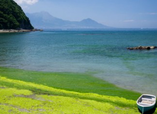 【日本】筍玩福岡套票!國泰「機票+酒店」連稅:4日3夜$3,526起、6日5夜$3,812起!包30kg行李 – 國泰航空 (優惠至10月31日)