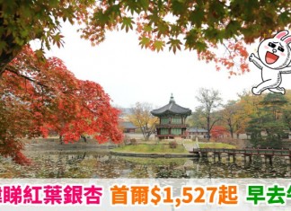 【韓楓之旅】睇紅葉銀杏!香港來回首爾$1,527起!早去午返!包30kg行李 – 印度航空
