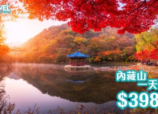 限時72小時優惠!韓國秋冬 local tour 低至5折!聖誕、元旦、農曆新年照劈!睇五色楓葉!廣東話教練教滑雪 – travelwebsite.com
