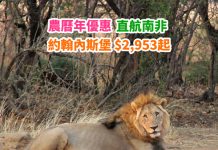 【非洲之旅】農曆年有平!香港直航來回約翰內斯堡$2,953起!南非各地都抵!2月底前出發 – 南非航空 (優惠至2月28日)
