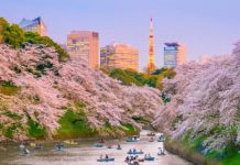 【日航抵價】香港來回東京$2,479起!包46kg行李!2019年7月前出發 – 日本航空 (優惠至3月31日)