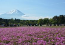 【閃劈激抵價】連稅八百飛日本!香港飛河內 / 峴港$98起、大阪$168起、新加坡$188起、東京$228起!2月至9月出發 – Jetstar (優惠至1月24日)