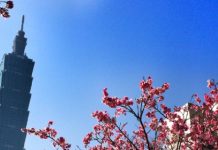 【台灣】香港來回台北$688起!早機去、晚機返!包30kg行李!4月17日前出發 – 中華航空 (優惠至2月15日)