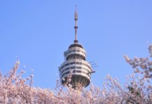 【韓國】農曆年都平!澳門飛大邱單程$285起!來回連稅千二起!2月份出發 – 濟州航空 (優惠至1月25日9AM)