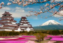 【日本靚價】香港來回沖繩$920起、鹿兒島$1,330起、東京$1,430起!2至4月出發 – 香港航空 (優惠至2月17日)