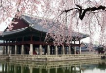 【韓國】香港來回首爾$1,261起!賞櫻季適用!包23kg行李!凌晨機去、晚機返!4月底前出發 – 大韓航空 (優惠至1月31日)