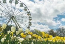 【全線筍減】全線機票減$200!皇家約旦飛曼谷$442起、港航飛首爾$834起、新航飛澳洲$2,146起 – Travelliker (優惠至2月4日)