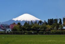 【歎飛日本】ANA 早鳥價!香港來回名古屋 / 東京 / 大阪$2,523起!4月至9月出發 – ANA 全日空 (優惠至2月8日)