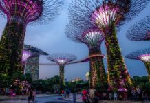 【獅城靚價】香港來回新加坡$1,306起!可早去晚返!暑假頭 / 尾都抵!包30kg行李!10月底前出發 – 國泰航空 (優惠至10月31日)