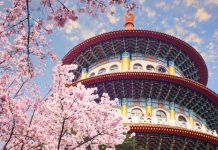 【台灣賞櫻價】初春遊台!香港來回台灣各地$670起!可 Open jaw!2020年3月底前出發 – 中華航空 (優惠至12月24日3PM)