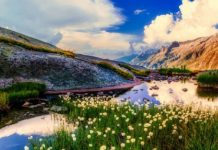 【抵價直飛新西蘭】香港直航來回奧克蘭$3,130起!基督城 / 威靈頓更平!3月至12月出發 – 新西蘭航空 (優惠至3月4日)