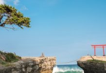 【遊日賞櫻之旅】香港來回日本各地$2,014起!連稅二千六起!包30kg行李!10月底前出發 – 國泰航空 (優惠至5月31日)