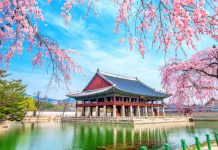 【櫻花 last call】香港飛首爾 / 濟州單程$260起!澳門飛大邱 / 務安單程MOP250起!4月出發 – 濟州航空 (優惠至3月29日9:00AM)