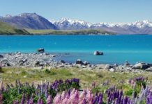 【直飛新西蘭】繼續減!香港來回奧克蘭$3,031起!轉飛基督城 / 威靈頓都有平!5月至12月出發 – 國泰航空 / 新西蘭航空 (優惠至3月31日)