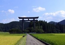 【7週年SALE第三擊】香港飛沖繩 / 大阪單程$177起!來回連稅七百幾起!4月至7月出發 – 樂桃航空 (優惠至4月1日)