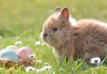 【復活節優惠】全線機票最多減$200!埃航飛曼谷$740起、港航飛沖繩$950起、法航飛羅馬$1,950起 – CheapTickets.hk (優惠至4月5日)