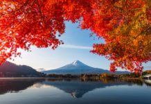 【ANA 高質優價】香港來回東京 / 名古屋 / 大阪$2,571起!可 Open jaw!出發日期至10月尾 – ANA 全日空 (優惠至5月31日)