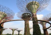 【獅城筍玩價】香港來回新加坡$1,095起!特選經濟艙都抵!暑假旺季適用!12月中前出發 – 國泰航空 (優惠至5月26日)