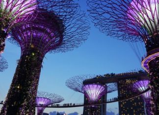 【初夏飛獅城】新航閃減!香港來回新加坡$1,250起!7月初出發 – 新加坡航空 (優惠至6月4日)