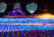 【秋冬筍價】日航來回東京$2,410起!紅葉季、雪季放靚假!暑假尾都有!包46kg行李額 – 日本航空 (優惠至6月30日)