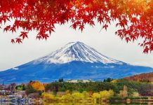 【抵玩日本套票】港航.東京「機票+酒店」連稅:4日3夜$2,747起、6日5夜$2,962起!包20kg行李 – 香港航空 (優惠至7月31日)