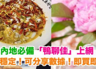 【閃玩內地必備】上網 SIM卡「鴨聊佳」夠平夠穩定!可分享數據!即買即用!