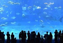 【72小時閃減】香港飛沖繩單程$298起、大阪$348起!來回連稅一千起!2020年1月中前出發 – 樂桃航空 (優惠至7月23日23:59)