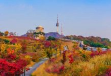 【秋冬遊韓套票】韓亞.首爾「機票+酒店」連稅:4日3夜$2,220起、6日5夜$2,328起!9月至12月出發 – 韓亞航空 (優惠至8月15日)