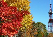 【歎搭 ANA】日本線勁劈!香港來回名古屋 / 大阪 / 東京 / 札幌$2,078起!可 Open jaw!2020年3月底前出發 – ANA 全日空 (優惠至7月30日)