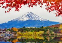 【筍歎 ANA】香港來回東京$2,330起!連稅三千三起!9至12月出發 – ANA 全日空 (優惠至9月3日)