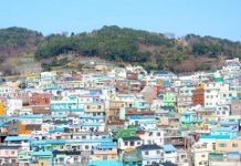 【冬季早鳥價】香港 / 澳門飛釜山單程$240起!來回連稅千一起!12月份出發 – 釜山航空 (優惠至9月9日)