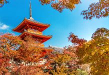 【即飛日本套票】ANA.大阪 / 京都「機票+酒店」連稅:4日3夜$3,444起、6日5夜$3,560起!12月份出發 – ANA 全日空 (優惠至11月8日)