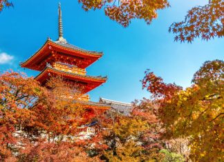 【即飛日本套票】ANA.大阪 / 京都「機票+酒店」連稅:4日3夜$3,444起、6日5夜$3,560起!12月份出發 – ANA 全日空 (優惠至11月8日)