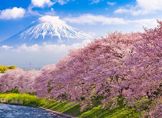 【台日兩地遊】香港來回日本各地$1,371起!連稅二千起!可玩埋台灣!跨年 / 櫻花季 / 暑假尾去都得 – 中華航空 (優惠至11月30日)